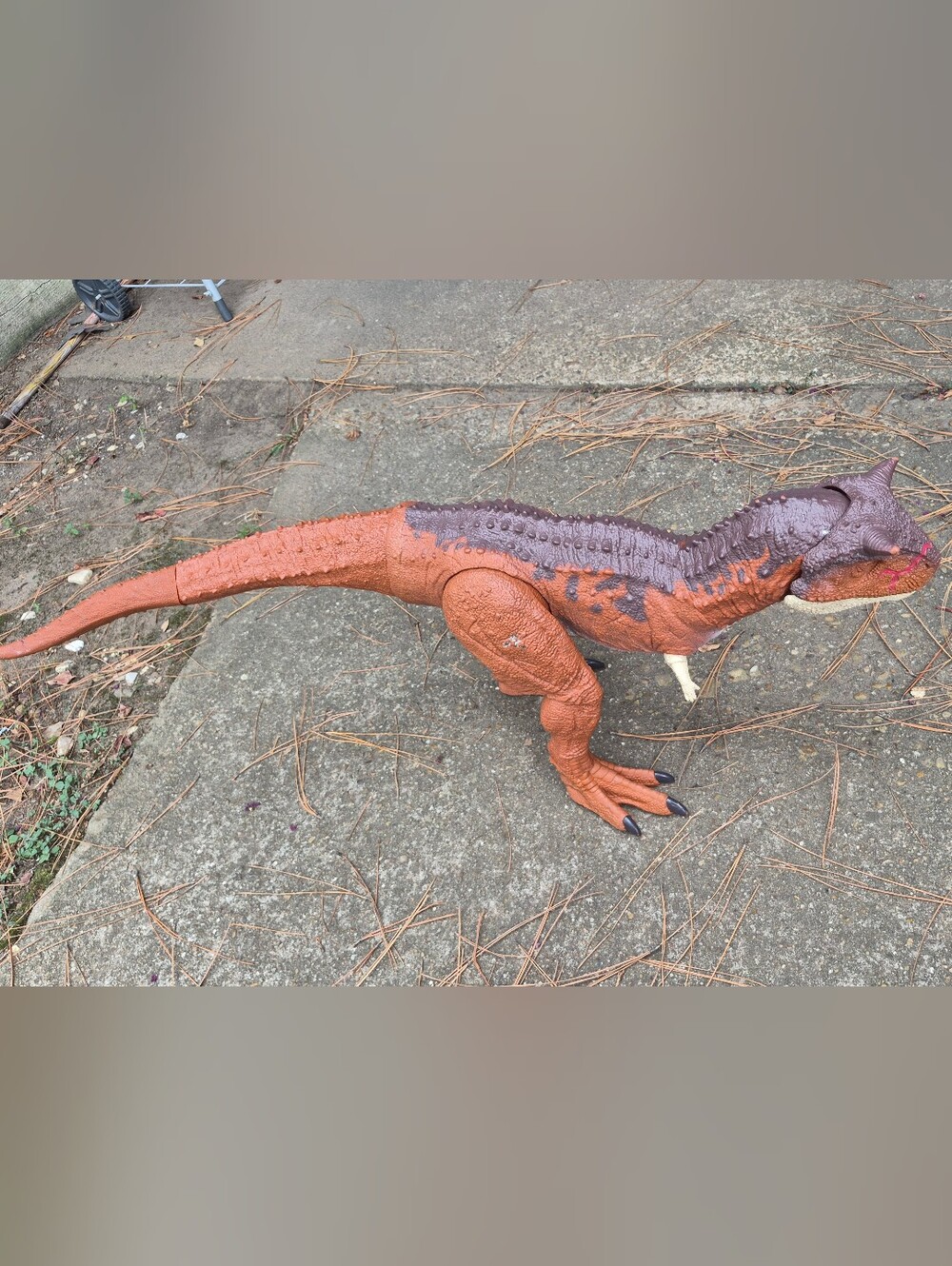Mattel Jurassic World Super Colossal Carnotaurus Toro Dinosaur Toy 3 Ft Long